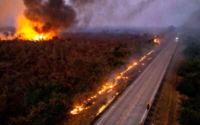 Roboré Exige Atención Urgente Y Eficaz Ante Nueva Emergencia Por Incendios