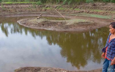 Yumani: Tres años de minería aurífera ilegal que excava sus tierras y deforesta sus árboles