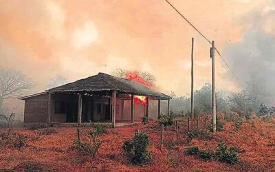 En siete meses, los daños igualan a todo 2023, superando el millón de hectáreas devastadas
