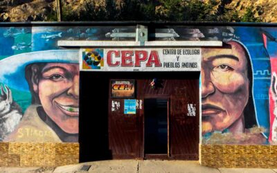 CEPA, Centro De Ecología Y Pueblos Andinos. Por la justicia Ambiental.