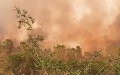 Beni se declara en desastre departamental por los incendios forestales y sequía