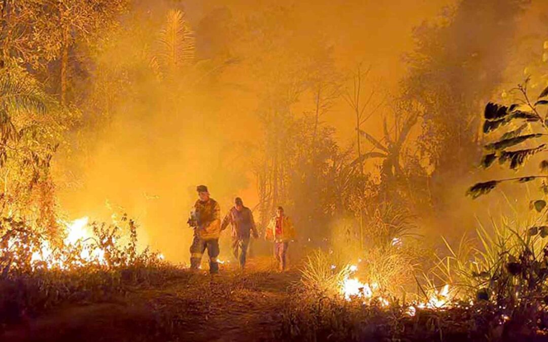 La voz de la Iglesia frente a los incendios: No es tiempo de evaluar, es tiempo de actuar