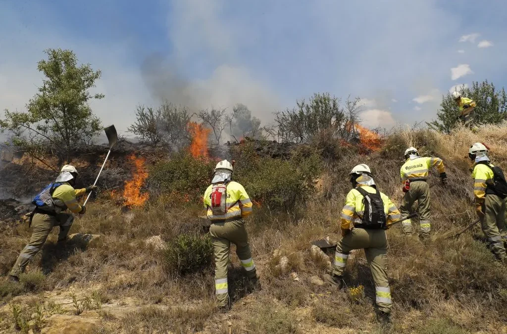 Bomberos sofocan 69 incendios forestales y ejecutan 82 operativos por tierra, agua y aire