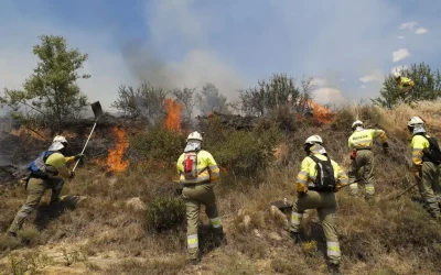 Bomberos sofocan 69 incendios forestales y ejecutan 82 operativos por tierra, agua y aire