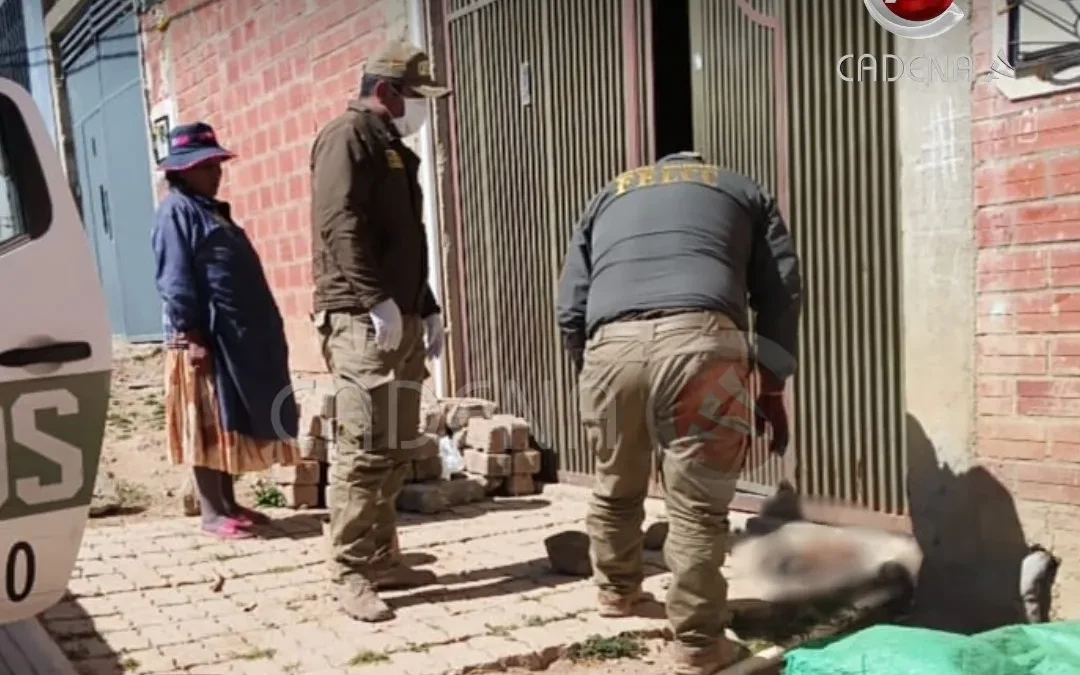 Hallan a un bebé sin vida atacado por perros callejeros
