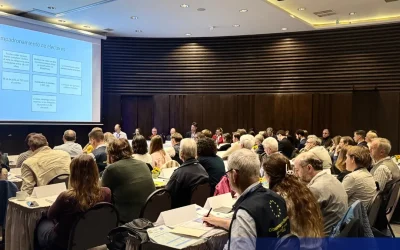 Llegan 50 observadores de corto plazo de la UE para las elecciones del domingo