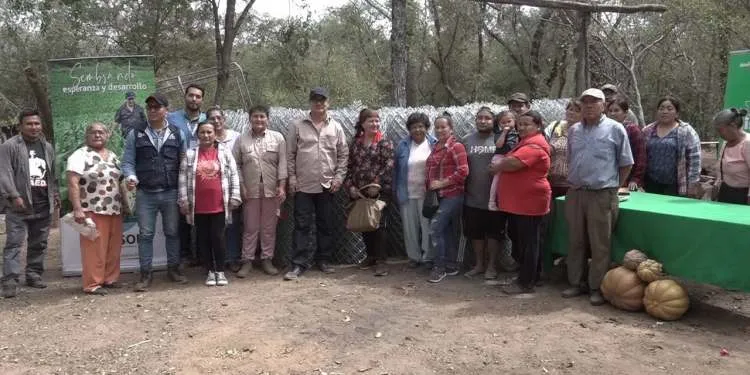Con recursos del Prosol, comunario de Llanura Seca implementan cabaña porcina y granja avícola