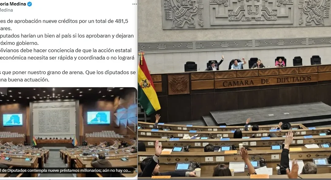 Después de las elecciones de agosto, el Legislativo destraba créditos por cerca de $us 800 millones