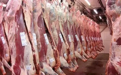 Tarija: Frigorífico pretendía desviar la carne de res en complicidad del Senasag