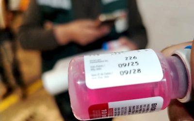 Bolivia ejecutará campaña antirrábica con más de 2 millones de vacunas y 25.000 brigadas