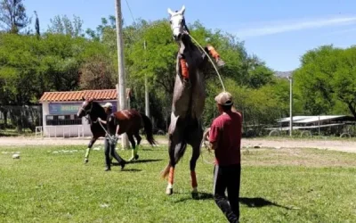 Gobernación de Tarija apoya nuevo encuentro de carreras cuadreras este sábado en La Tablada