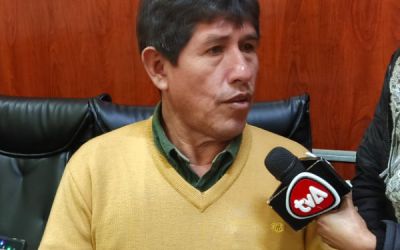 Castillo afirma que la Asamblea actuó dentro de la norma y que el Chaco “está en su derecho” de impugnar