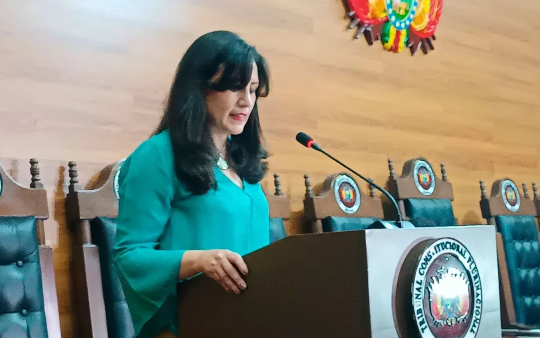 Presidenta del TCP espera que haya elecciones judiciales complementarias a la brevedad posible