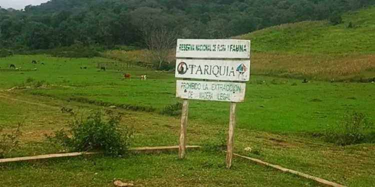 Ante persistencia del bloqueo al proyecto DMO-X3, pobladores de Chiquiacá rompen el silencio