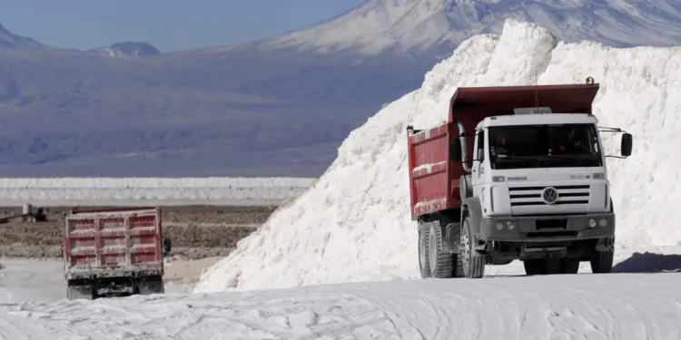 Chile prohíbe extracción de litio en 26 salares protegidos