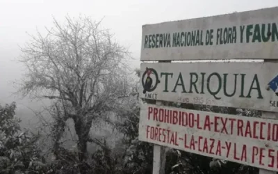 Se levantan procesos contra 17 comunarios de la reserva de Tariquía
