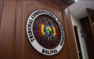 Tcp confirma que ADN pierde personería y queda fuera de elecciones subnacionales