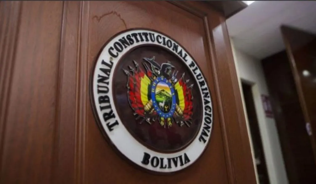 Tcp confirma que ADN pierde personería y queda fuera de elecciones subnacionales