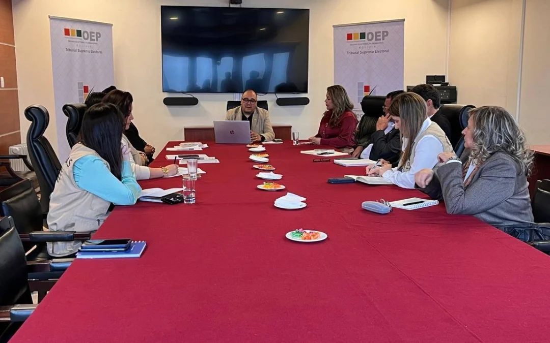 Elecciones subnacionales: Órgano Electoral se reúne con misión de observación de la OEA