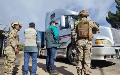 Ministros de Defensa de Brasil y Bolivia acuerdan vigilancia en frontera con drones y radares