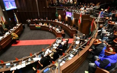 En el Senado califican de insuficiente el informe de Medinaceli y Libre dice que lo interpelará