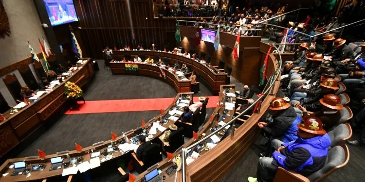 En el Senado califican de insuficiente el informe de Medinaceli y Libre dice que lo interpelará