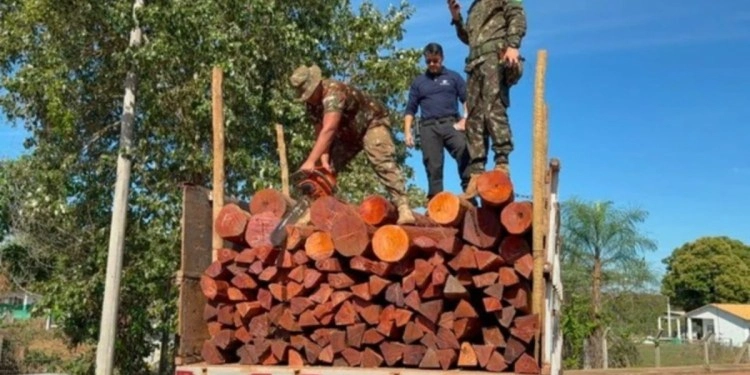 Hallan en Brasil 50 toneladas de cocaína en cargamento de madera procedente de Bolivia