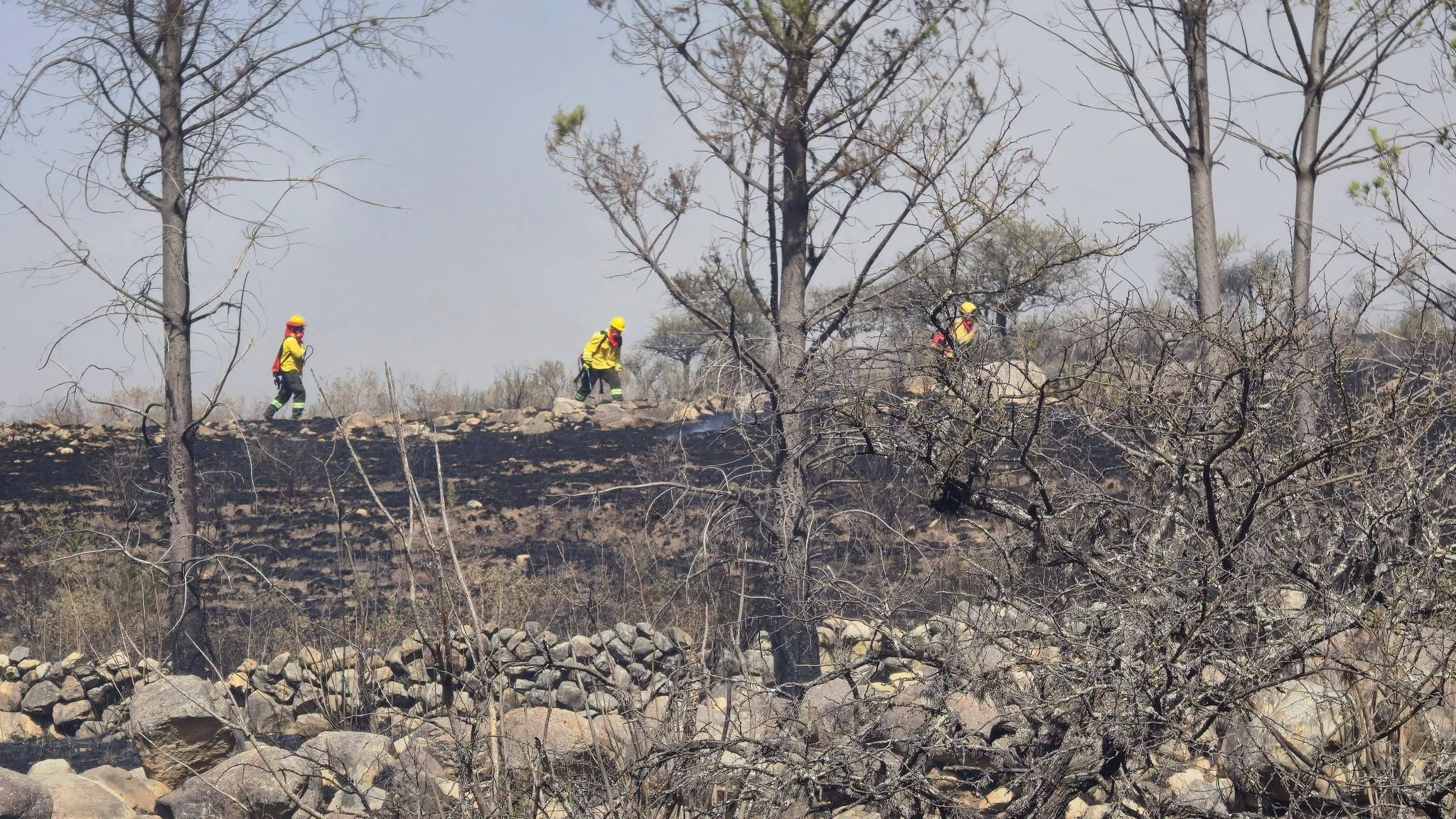 Gobierno confirma control de los incendios en Tarija y dispone el retiro de las fuerzas desplegadas
