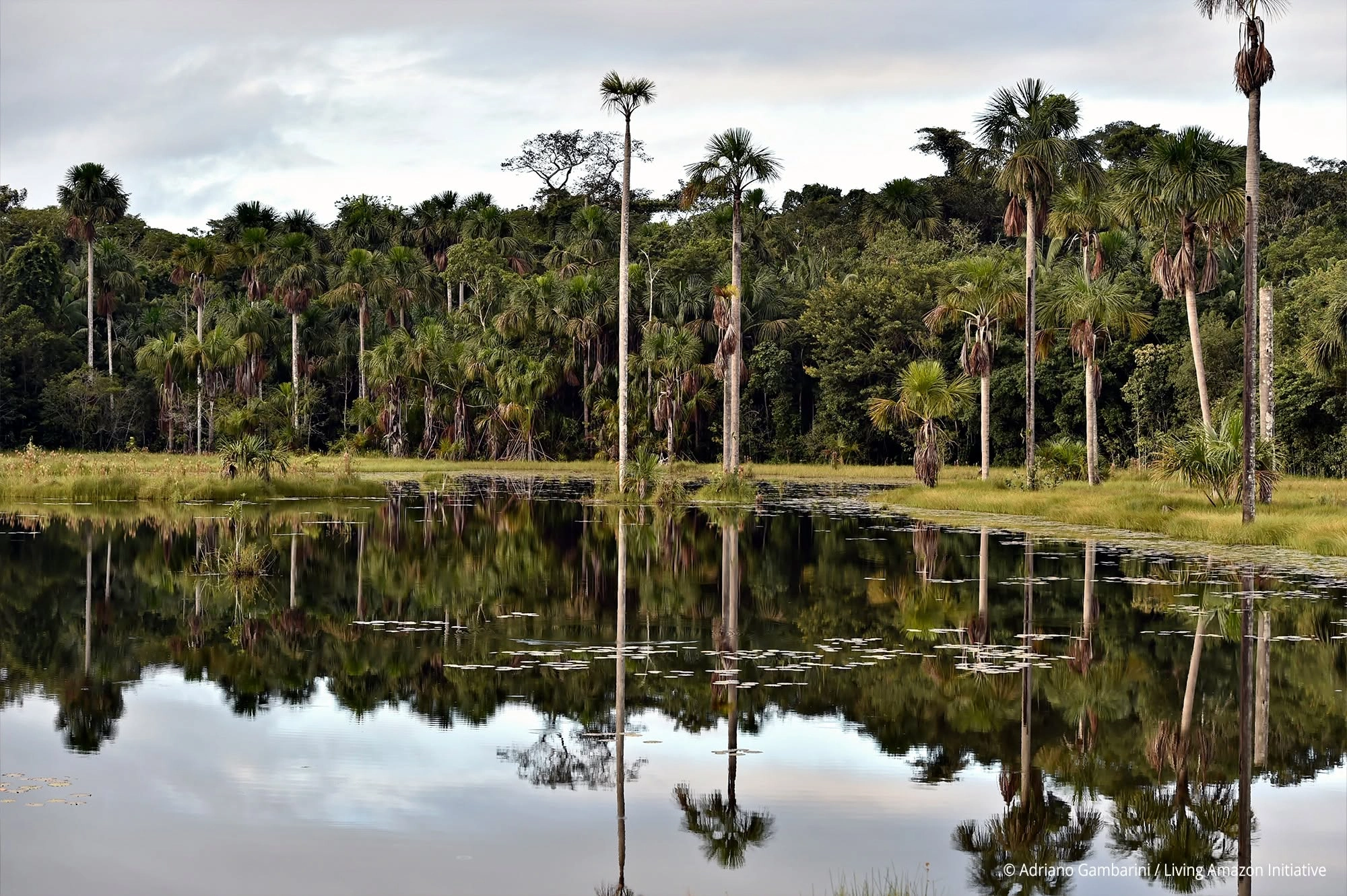 El susurro de la selva y el rugir de los ríos invitan a la aventura en Pando