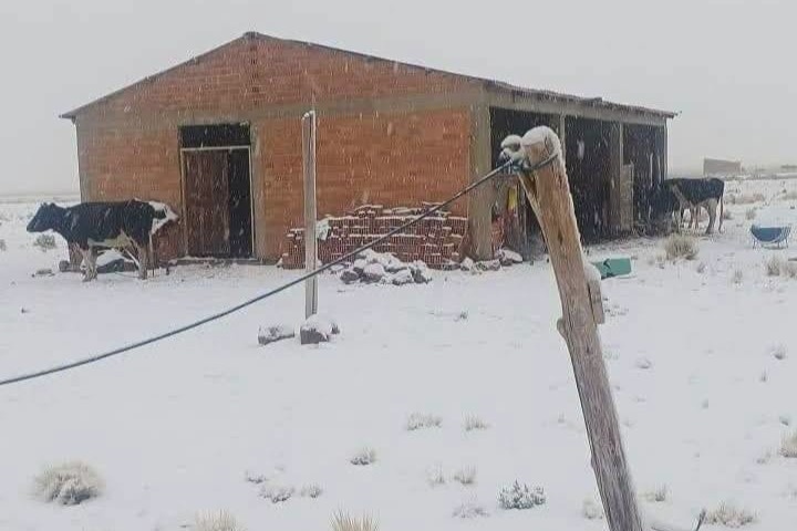 Nevadas afectan a más de 26.000 familias en el occidente del país; Potosí concentra los mayores daños