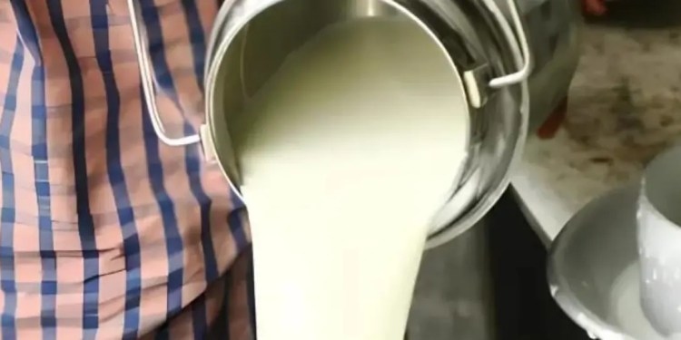 Lecheros de San Lorenzo dan 72 horas a EBA para pagar deuda por la leche entregada