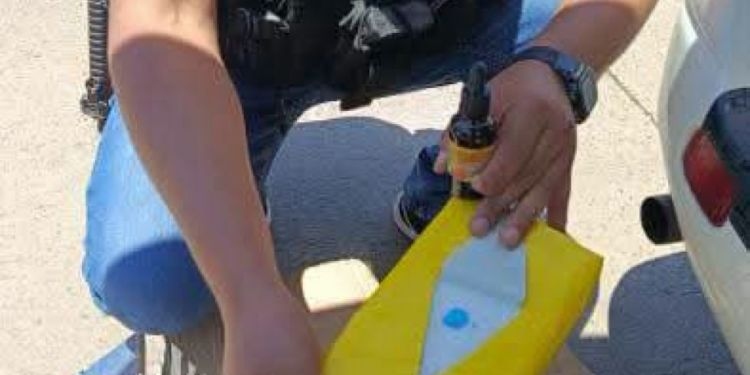 Yacuiba: incautan tres paquetes de cocaína ocultos en una encomienda