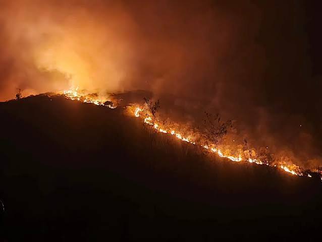 EL MUNICIPIO GESTIONA FORRAJE DE EMERGENCIA TRAS INCENDIO QUE CONSUMIÓ MÁS DE 5.000 HECTÁREAS Y AFECTÓ A 25 FAMILIAS