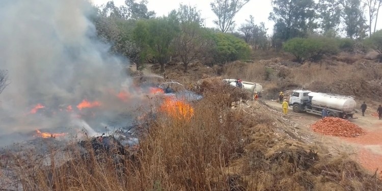 Alerta en Tarija: Policía afirma que cuatro incendios simultáneos fueron provocados